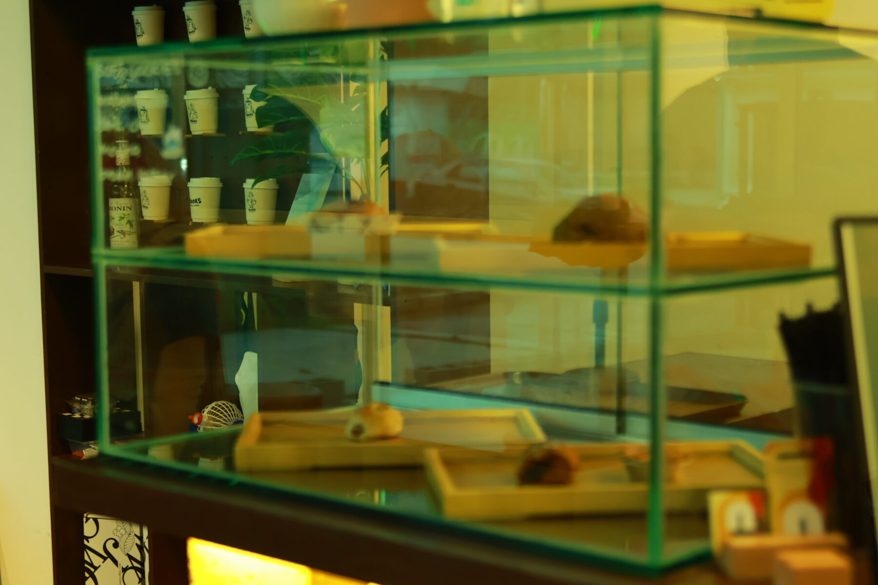 Pastry display case at NOOKS